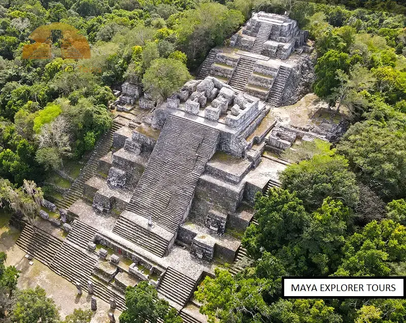 Aerial view of Calakmul archaeological zone pyramids surrounded by tropical forest in Campeche, Mexico